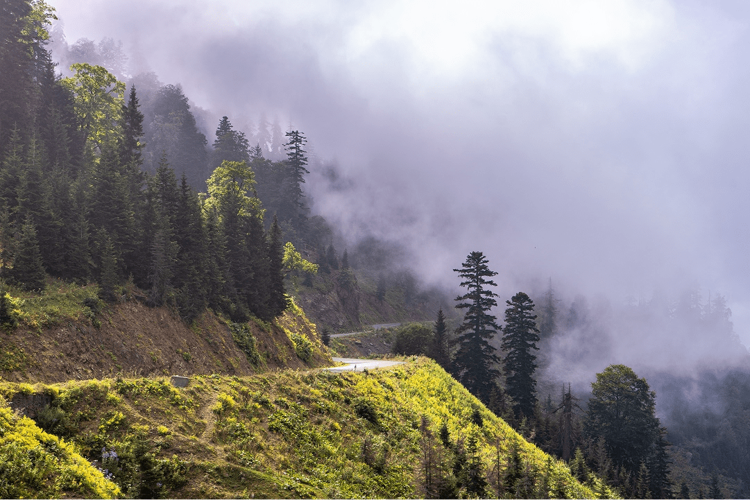 Chasing Fog – A Morning in&hellip;